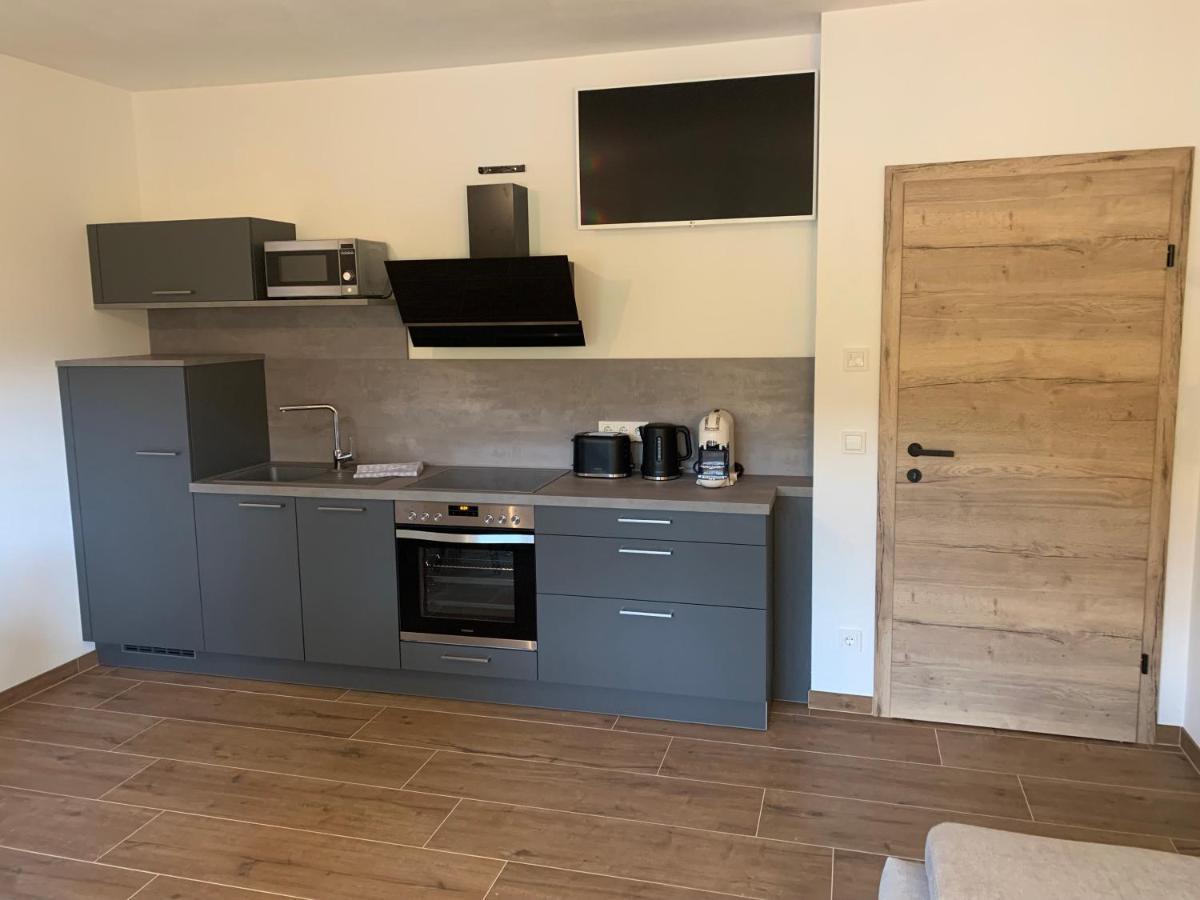 Appartments Zirbennest Schladming Kültér fotó